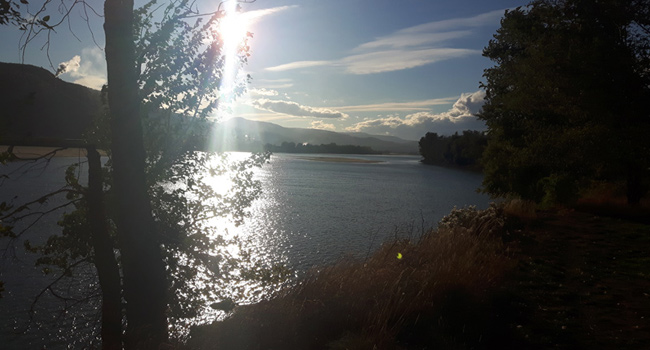 McArthur Island, Kamloops BC
