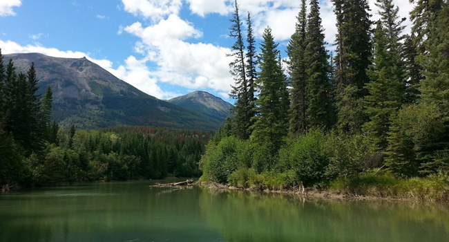 Miette River, Jasper Park AB
