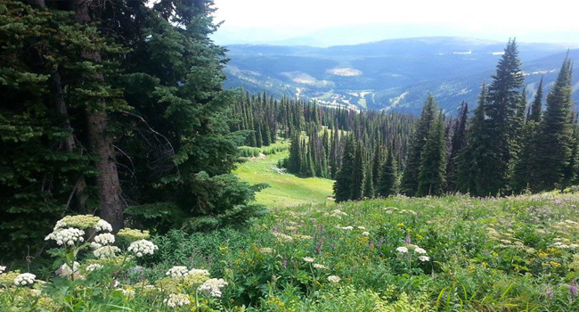 Sun Peaks Resort, British Columbia